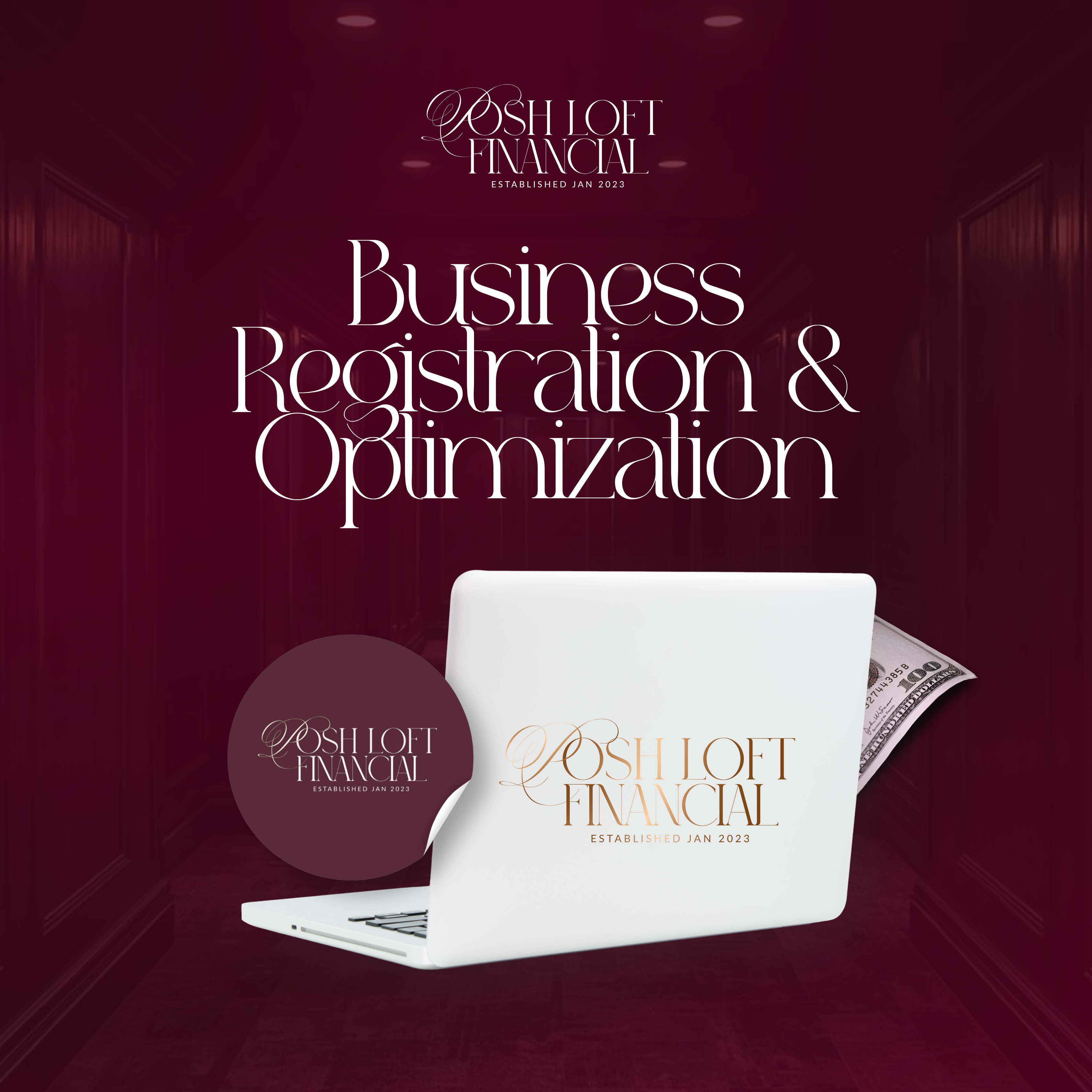 Business Registration & Optimization Package