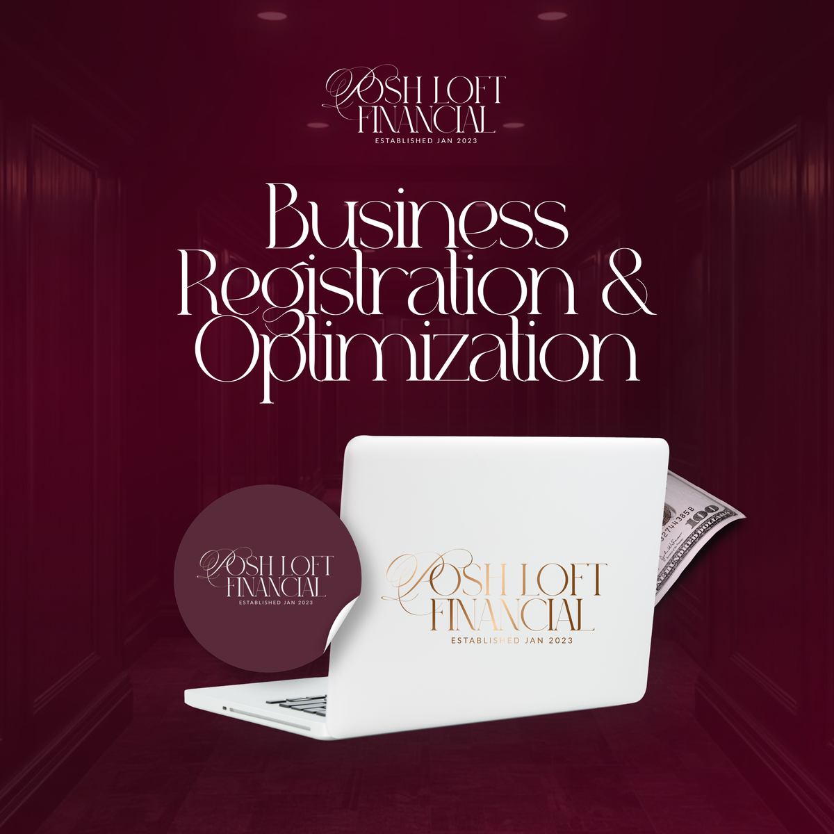 Business Registration & Optimization Package