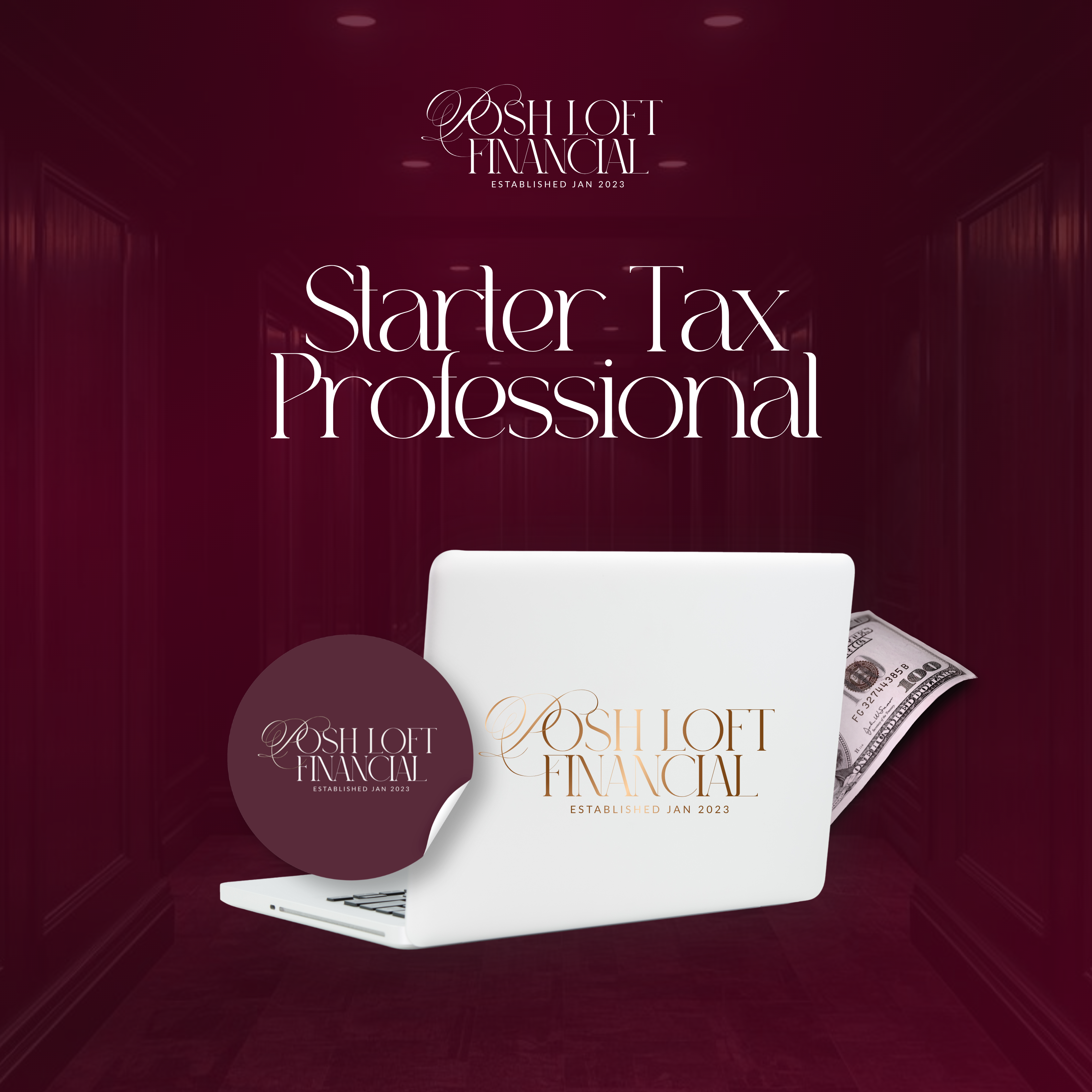 Starter Tax Professional