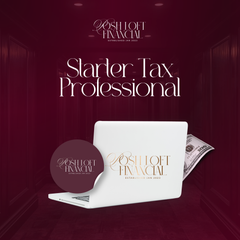 Starter Tax Professional