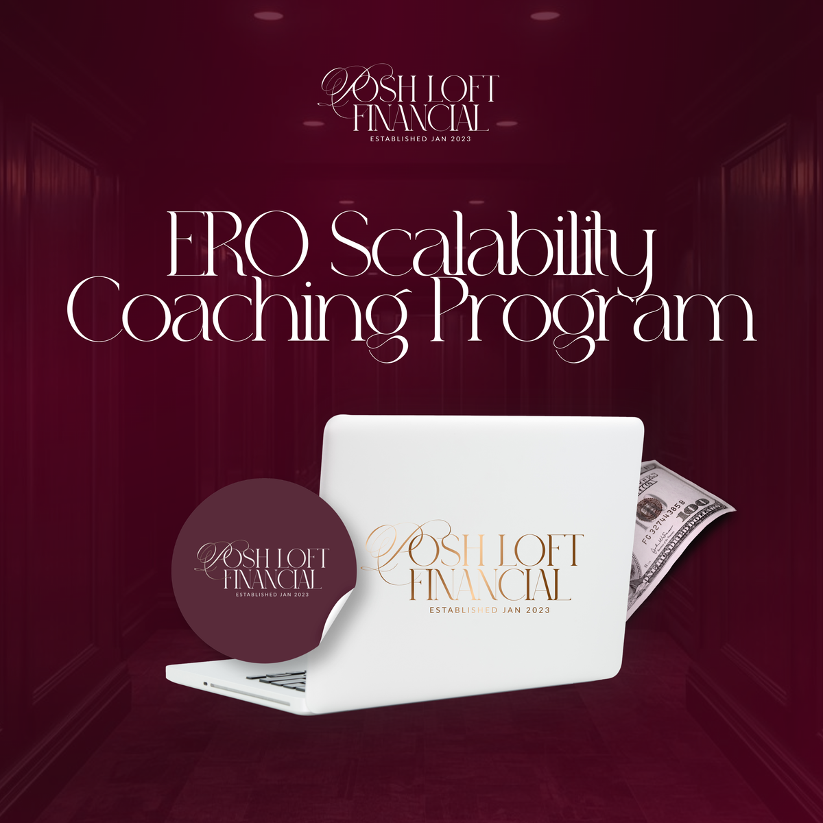 ERO Scalability Coaching Program