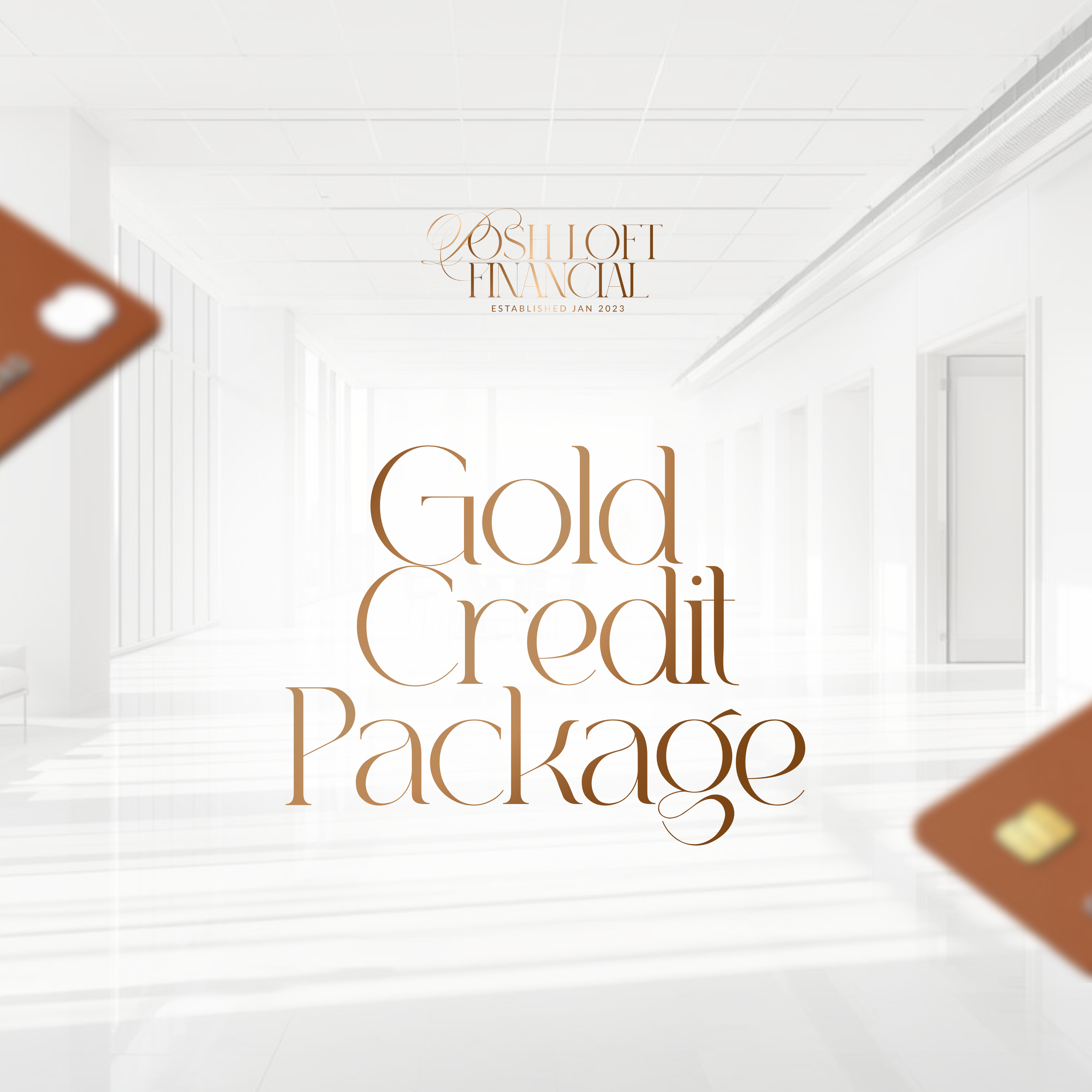 Gold Credit Package (30 day duration)