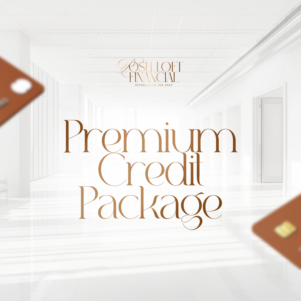 Premium Credit Package (90 Day duration)