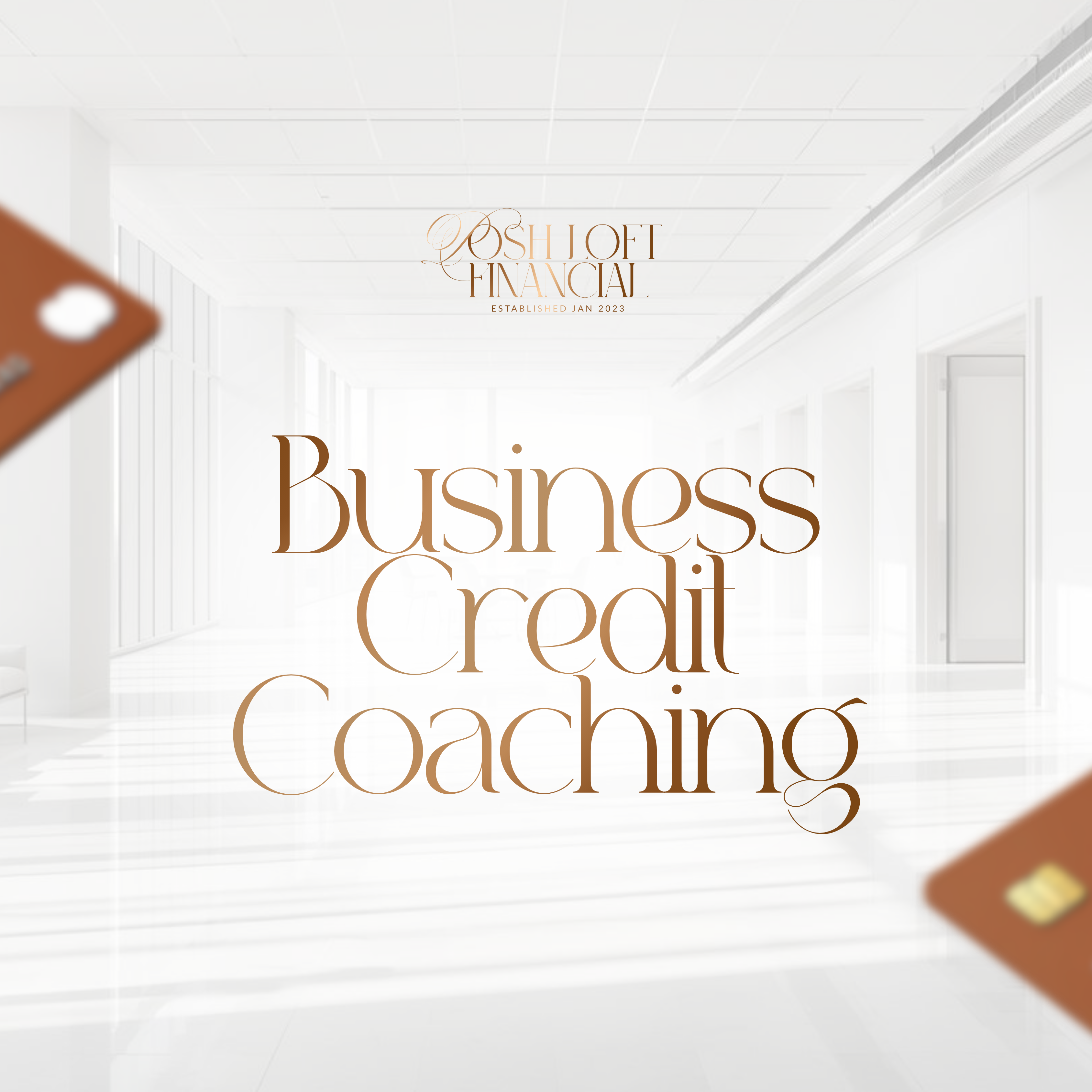 Business Credit Coaching (6-9 Month Duration)