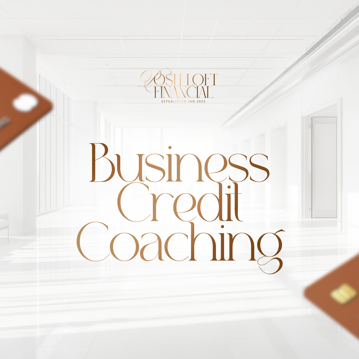 Business Credit Coaching (6-9 Month Duration)